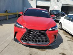 Lexus NX250 2023 1